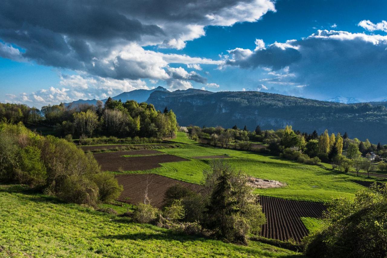 Il Fauno Daire Asiago Dış mekan fotoğraf